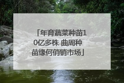 年育蔬菜种苗10亿多株 曲周种苗缘何俏销市场